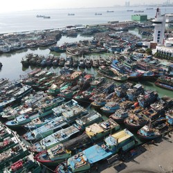 Tak Terurus, DPR Cecar KKP Soal Kondisi Pelabuhan Muara Baru