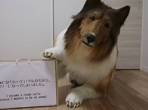 Fantasi Liar Pria yang Hidup Jadi Anjing