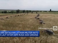 Turki Batalkan Latihan Militer Bersama NATO di Laut Hitam