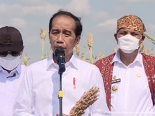 Ini Alasan Genting Berulang Kali Jokowi Suruh Tanam Sorgum