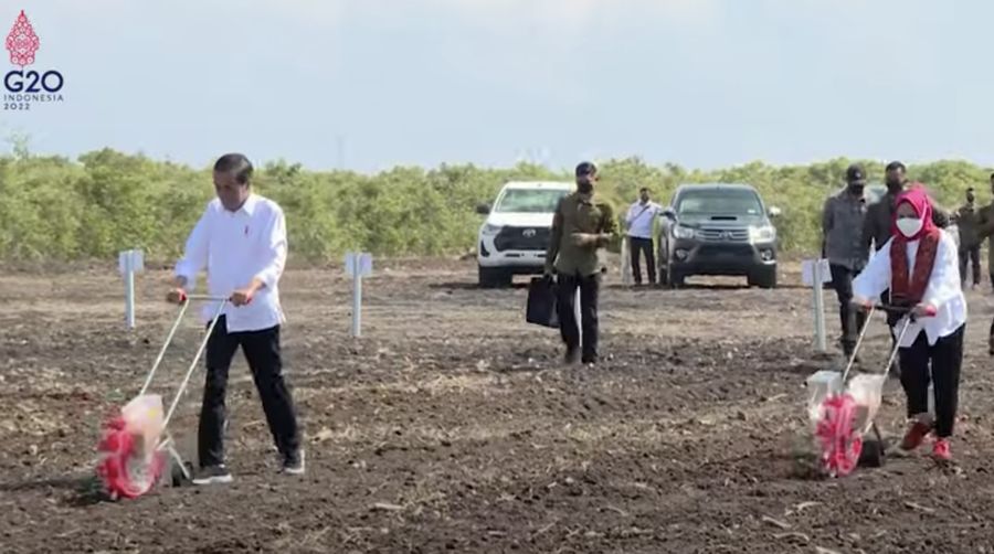 Jokowi Tanam Bibit dan Tinjau Panen Sorgum, Sumba Timur, 2 Juni 2022. (Tangkapan Layar Youtube)