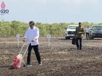 Masih Punya  Banyak PR di Bidang Pangan, RI Aman dari Krisis?