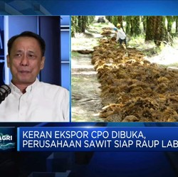 Ekspor CPO Dibuka, Perusahaan Sawit: Aturan Belum Jelas