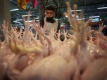 Krisis Ayam, Makanan Nasional Singapura Terancam Hilang