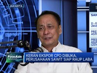 Penuhi CPO Domestik, Pengusaha Sawit Terkendala Distribusi