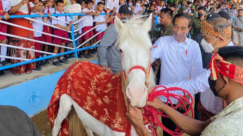 Presiden Joko Widodo dan Ibu Iriana Joko Widodo menyaksikan ekshibisi balap pacuan kuda. (Laily Rachev - Biro Pers Setpres)