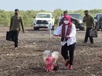 Saat Sneakers Seharga Rp10 Juta Iriana Dipakai Bajak Sawah