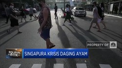 Singapura Terancam Krisis Ayam