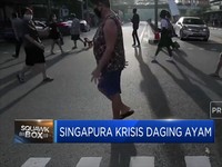 Singapura Terancam Krisis Ayam