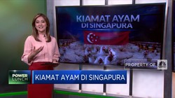 Simak, Kiamat Ayam di Singapura