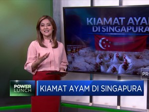 Simak, Kiamat Ayam di Singapura