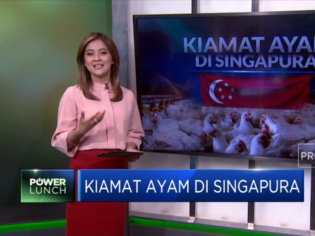 Simak, Kiamat Ayam di Singapura