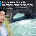 Pencarian Eril Kini Libatkan Anjing Pelacak