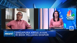Tembus Pasar Ekspor, Produk Ayam RI Butuh Promosi