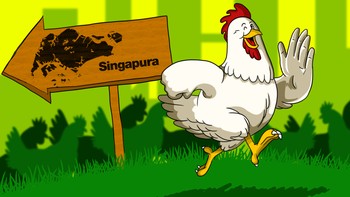 Singapura 'Kiamat' Ayam, Apa yang terjadi?