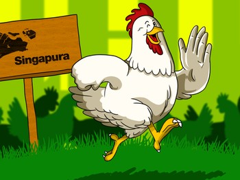 Singapura 'Kiamat' Ayam, Apa yang terjadi?