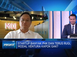 Ini Dia Startup Pilihan Modal Ventura di Tengah Badai PHK