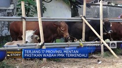 Sudah Terjang 17 Provinsi, Mentan Jamin PMK Terkendali