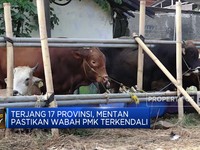 Sudah Terjang 17 Provinsi, Mentan Jamin PMK Terkendali