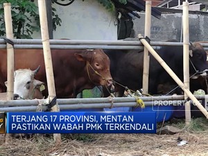 Sudah Terjang 17 Provinsi, Mentan Jamin PMK Terkendali