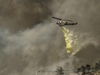 Kebakaran Hanguskan Ribuan Hektare Hutan di Eropa