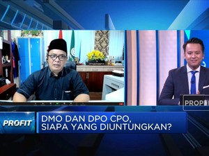 Curhat Petani, Ekspor CPO Dibuka Tapi Harga Sawit Masih Murah