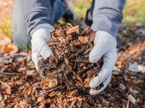 5 Cara Membuat Pupuk Kompos dengan Alat dan Bahan Sederhana, Mudah dan Cepat!