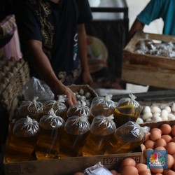 Aneh! 5 Bapok Ini Harganya Terbang Gila-gilaan