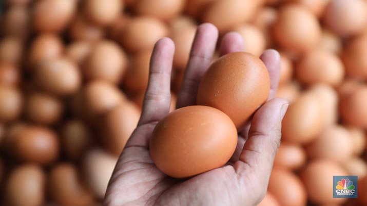 Penjual telur ayam melayani pembeli di toko di Kawasan, Cirendeu, Jakarta Selatan, Senin (6/6/2022). (CNBC Indonesia/Muhamad Sabki) Penjual telur ayam melayani pembeli di toko di Kawasan, Cirendeu, Jakarta Selatan, Senin (6/6/2022). (CNBC Indonesia/Muhamad Sabki)
