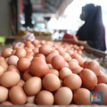 Harga Migor Sudah Benar-Benar Turun, Eh Telur Malah Nanjak