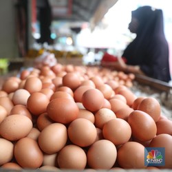 Harga Migor Sudah Benar-Benar Turun, Eh Telur Malah Nanjak
