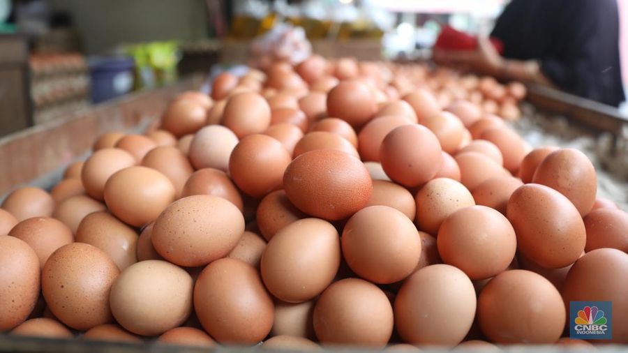 Penjual telur ayam melayani pembeli di toko di Kawasan, Cirendeu, Jakarta Selatan, Senin (6/6/2022). (CNBC Indonesia/Muhamad Sabki)