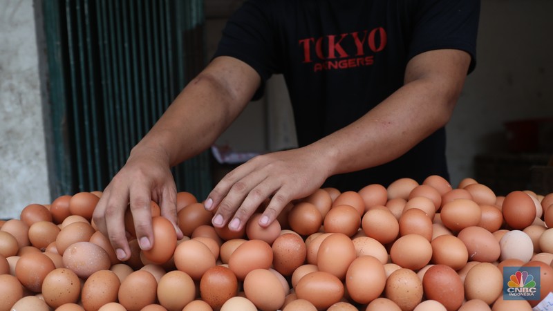 Penjual telur ayam melayani pembeli di toko di Kawasan, Cirendeu, Jakarta Selatan, Senin (6/6/2022). (CNBC Indonesia/Muhamad Sabki)