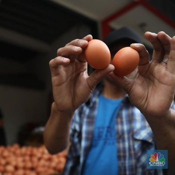 Harga Telur Ayam Makin Tak Tenang, Terus Merayap Naik