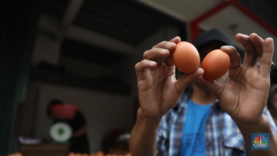 Penjual telur ayam melayani pembeli di toko di Kawasan, Cirendeu, Jakarta Selatan, Senin (6/6/2022). (CNBC Indonesia/Muhamad Sabki)
