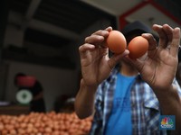 Stop! Jangan Cuci Telur Ayam Sebelum Dimasak, Ini Bahayanya