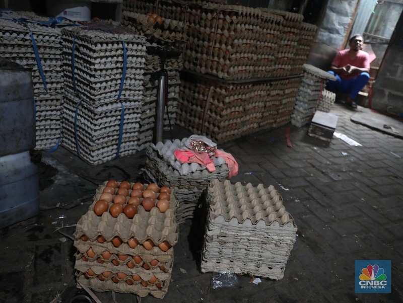 Penjual telur ayam melayani pembeli di toko di Kawasan, Cirendeu, Jakarta Selatan, Senin (6/6/2022). (CNBC Indonesia/Muhamad Sabki) Penjual telur ayam melayani pembeli di toko di Kawasan, Cirendeu, Jakarta Selatan, Senin (6/6/2022). (CNBC Indonesia/Muhamad Sabki)