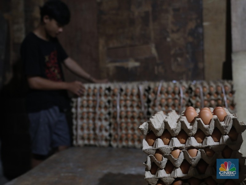 Penjual telur ayam melayani pembeli di toko di Kawasan, Cirendeu, Jakarta Selatan, Senin (6/6/2022). (CNBC Indonesia/Muhamad Sabki) Penjual telur ayam melayani pembeli di toko di Kawasan, Cirendeu, Jakarta Selatan, Senin (6/6/2022). (CNBC Indonesia/Muhamad Sabki)