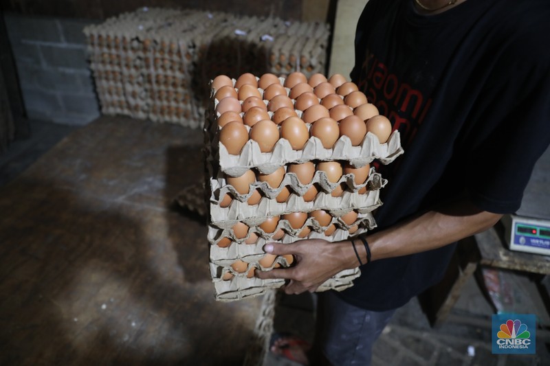 Penjual telur ayam melayani pembeli di toko di Kawasan, Cirendeu, Jakarta Selatan, Senin (6/6/2022). (CNBC Indonesia/Muhamad Sabki)