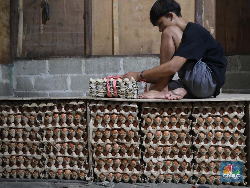 Penjual telur ayam melayani pembeli di toko di Kawasan, Cirendeu, Jakarta Selatan, Senin (6/6/2022). (CNBC Indonesia/Muhamad Sabki) Penjual telur ayam melayani pembeli di toko di Kawasan, Cirendeu, Jakarta Selatan, Senin (6/6/2022). (CNBC Indonesia/Muhamad Sabki)