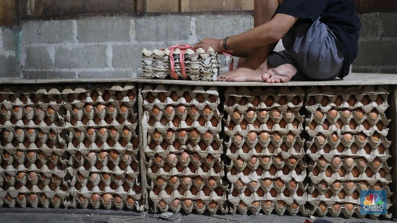 Penjual telur ayam melayani pembeli di toko di Kawasan, Cirendeu, Jakarta Selatan, Senin (6/6/2022). (CNBC Indonesia/Muhamad Sabki)