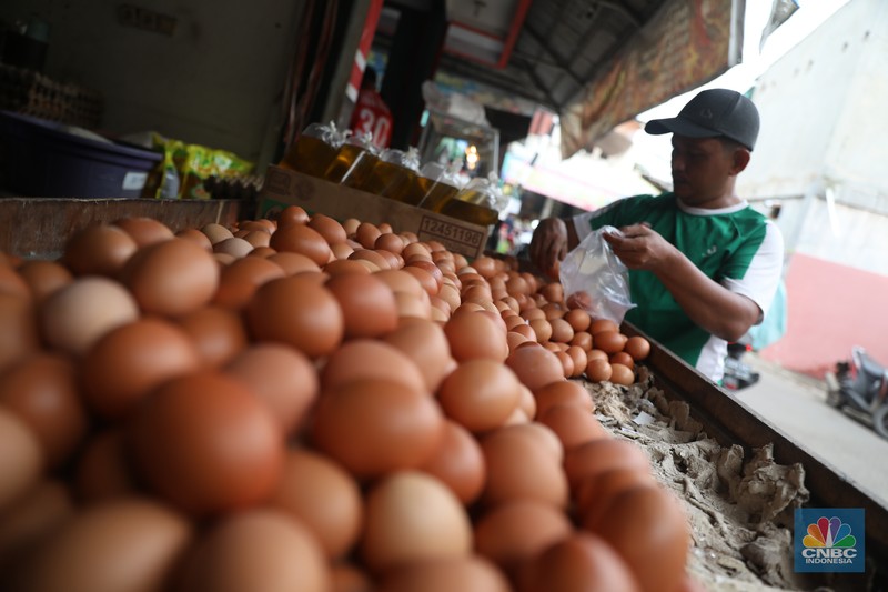 Penjual telur ayam melayani pembeli di toko di Kawasan, Cirendeu, Jakarta Selatan, Senin (6/6/2022). (CNBC Indonesia/Muhamad Sabki) Penjual telur ayam melayani pembeli di toko di Kawasan, Cirendeu, Jakarta Selatan, Senin (6/6/2022). (CNBC Indonesia/Muhamad Sabki)
