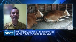 Tingkat Penularan 90%, Pengamat Ingatkan Bahaya PMK Ternak