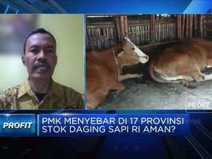 Tingkat Penularan 90%, Pengamat Ingatkan Bahaya PMK Ternak