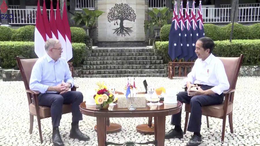 Upacara Penyambutan Resmi Perdana Menteri Australia, Istana Bogor, 6 Juni 2022. (Tangkapan lauyar Youtube)
