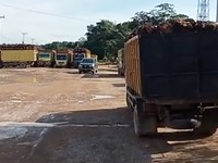 Ini Biang Kerok yang Bikin Harga CPO Bakal Drop Tahun Ini