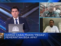 Pak Mentan, Pedagang Butuh Solusi Tekan Lonjakan Harga Cabai
