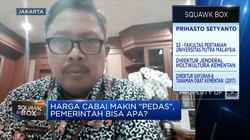 Harga Kian 'Pedas', Kementan Datangkan Cabai Sumatera ke Jawa
