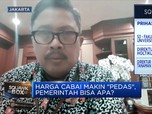 Harga Kian 'Pedas', Kementan Datangkan Cabai Sumatera ke Jawa