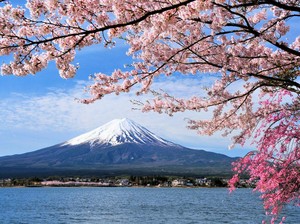 Mengapa di Jepang Sering Terjadi Gempa Bumi dan Tsunami? Ini Penjelasannya